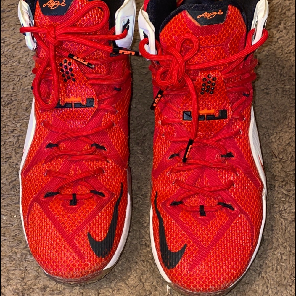 *SOLD* Lebron XII’s Heart of a Lion